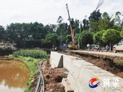 加快建設出境公路，白羊鎮以樹木種植破解發展瓶頸
