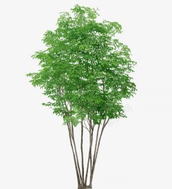 視覺合成與靈感素材 從杰視幫到影視海報(bào)設(shè)計(jì)的全鏈路探索